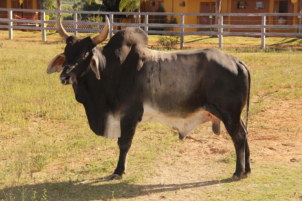 Hotel Fazenda Pocos De Caldas Bagian luar foto